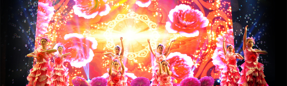 雷諾表2015年終總結暨頒獎盛典